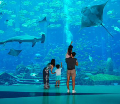 三亚+蜈支洲岛+三亚亚特兰蒂斯失落的空间水族馆+三亚南山文化旅游区3日2晚跟团游