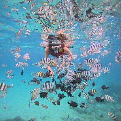 芽庄4日3晚自由行