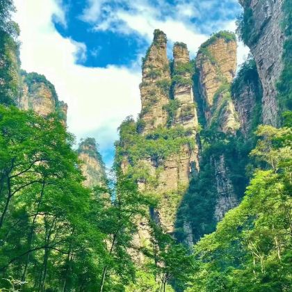 张家界+天门山+大峡谷2日1晚私家团