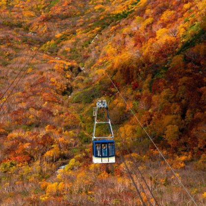 日本名古屋+白川乡+上高地+立山黑部阿尔卑斯山脉6日5晚跟团游