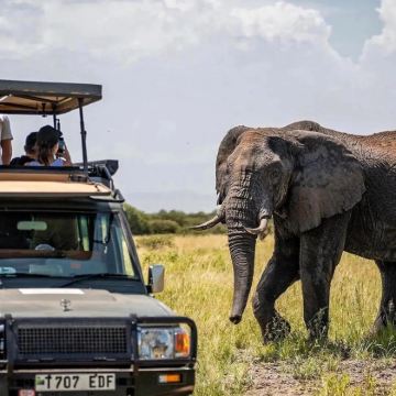 肯尼亚8日7晚私家团