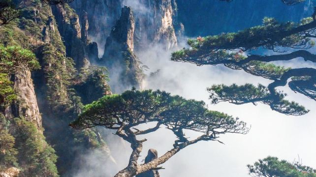 7-Day Shanghai and Anhui Private Tour·Former French Concession, Yi County, Hongcun, Nanping, Huangshan Scenic Area