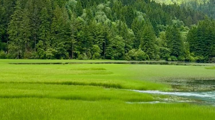 5-Day Jiuzhaigou + Huanglong National Scenic Area + Emeishan City + Leshan