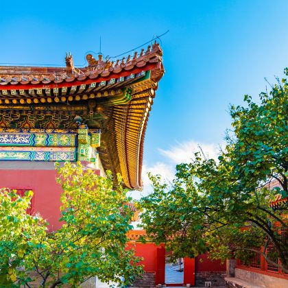 北京4日3晚拼小团