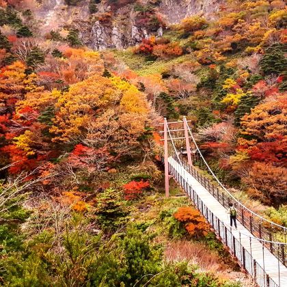 韩国济州岛5日4晚私家团