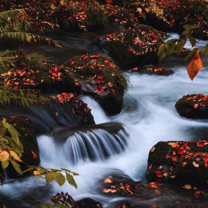 日本仙台+青森6日5晚私家团