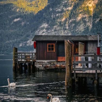 奥地利+毛里求斯12日11晚私家团