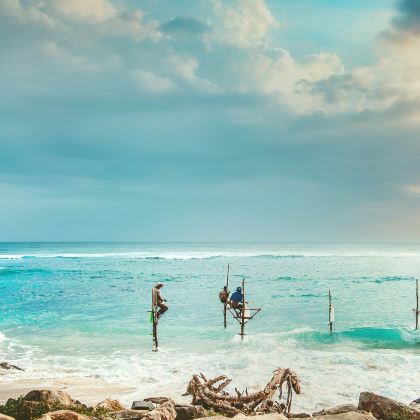 斯里兰卡8日7晚跟团游