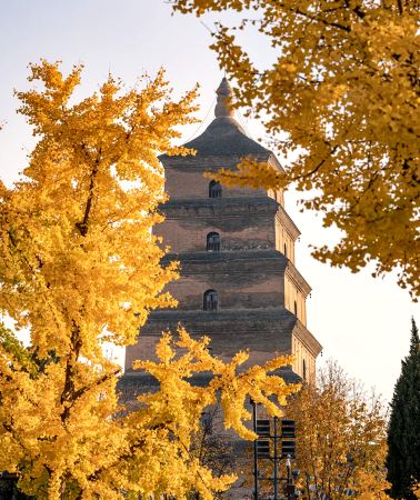 3D2N • Xi'an + Emperor Qinshihuang's Mausoleum Site Museum + Xi'an City Wall + Big Wild Goose Pagoda + Xi'an Museum