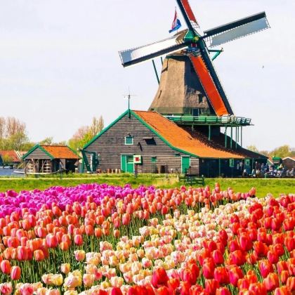 荷兰+比利时+德国15日跟团游