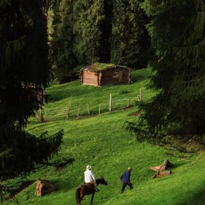 新疆北疆+伊犁+赛里木湖+那拉提旅游风景区8日7晚私家团