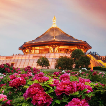 河南郑州+洛阳+开封+万仙山景区-郭亮景区7日6晚私家团