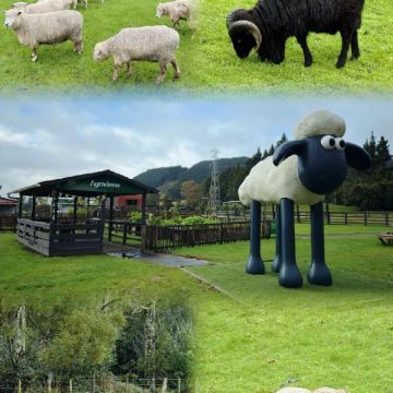 全真插班·新西兰12日独立营【探秘中土世界·新西兰插班寄宿营】奥克兰插班寄宿，浸泡体验“微留学”生活+爱歌顿皇家牧场+库伊劳公园+红木森林+怀托摩萤火虫洞+奥克兰大学