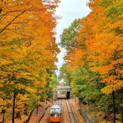 美国纽约+费城+华盛顿+波士顿15日13晚私家团