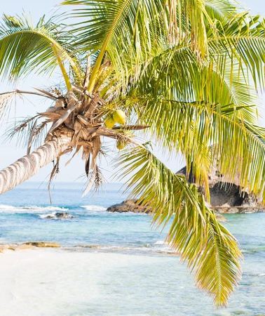 8D7N • Yasawa Wanderer Package 8 Days| 7 Nights - All Activities Included