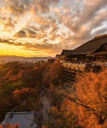7D6N • Diverse Honshu Japan tour: Osaka + Kyoto + Mie + Mt. Fuji + Tokyo: Ancient Temples, Ninja & Ama Culture, Volcanic Scenery & City Exploration