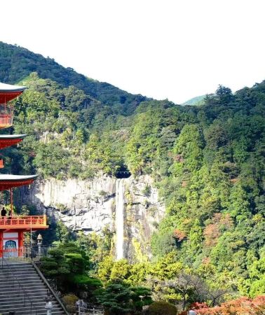 2D1N • Kumano Kodo 2-Day Hike: Nachi Shrine & Dual Pilgrim Trails