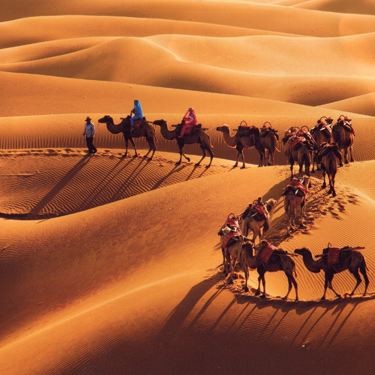 银川+中卫+固原7日6晚私家团