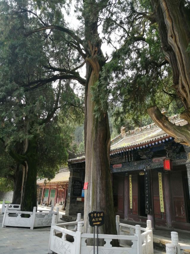 姜子牙钓鱼台风景名胜区旅行图片 7