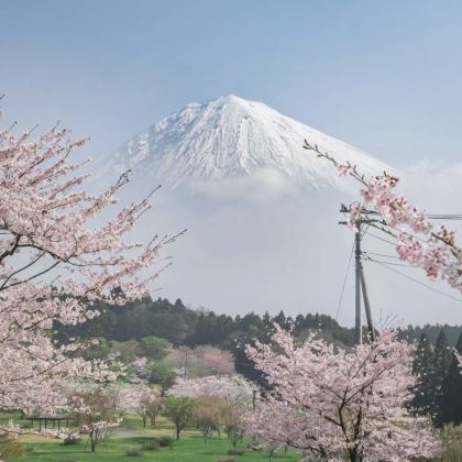 日本东京+富士山+箱根+伊豆市7日私家团