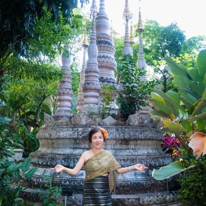 西双版纳+版纳热带植物园5日4晚私家团