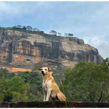 斯里兰卡6日5晚跟团游