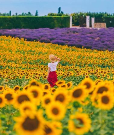 8天7晚 • 法國「環法全景」五星級羅萊夏朵古堡飯店＋普羅旺斯薰衣草花田＋蔚藍海岸小鎮巡遊＋粉紅鹽湖火烈鳥＋阿爾卑斯安納西