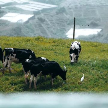 马来西亚吉隆坡+沙巴7日6晚私家团