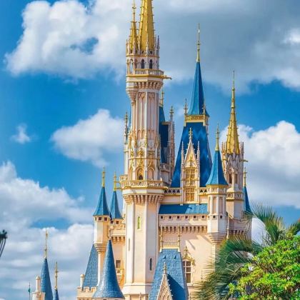 名校参访·日本东京富士山8天7晚夏令营|迪士尼双园二选一|A线：漫画体验课+名校参访+日式家庭寄宿+篝火晚会+拉面博物馆|B线：半岛温泉酒店+名校教授讲座+爬山活动+打卡风铃祭