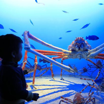 日本名古屋+鸟羽市+志摩市6日5晚私家团