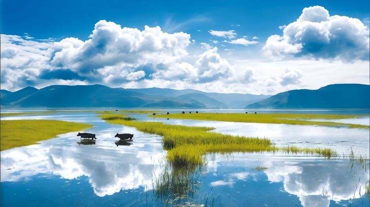8D7N · Group Tours · 50 Percent Discount+Upgrade: 2+1 VIP Coach for Kunming+Dali+Lijiang+ Dali Sea View Room & Erhai Lake Cruise & Travel Photography+Shangri-La