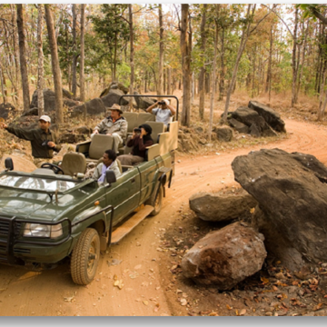 新德里+阿格拉+斋浦尔+瑟瓦伊马托布尔伦腾博尔国家公园9日8晚私家团