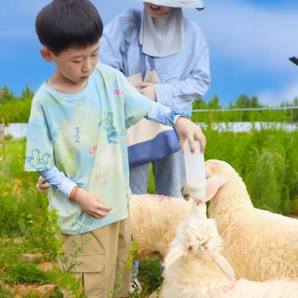 亲近自然【内蒙古国庆】牧羊人体验亲子营2天1晚【赶羊·放羊·剪羊毛·挤羊奶·抱小羊·羊毛毡手作】野外烧烤+野奢蒙古包住宿