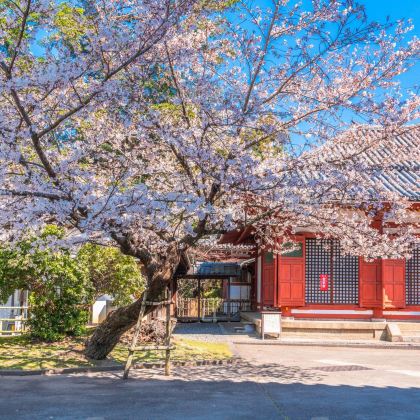 日本3日2晚私家团