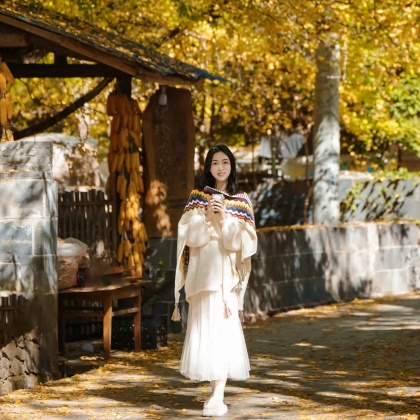 云南芒市+瑞丽+腾冲7日6晚拼小团