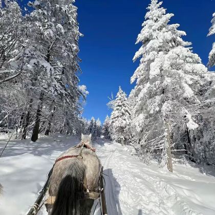 长春+长白山景区+哈尔滨6日5晚跟团游