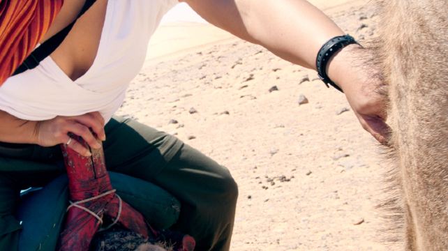 8-Day Best of Egypt Tour from Cairo·Aswān, Luxor | The Great Pyramid of Giza | The Sphinx | The Grand Egyptian Museum | Aswan Bridge |  Karnak Temple