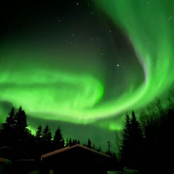 阿拉斯加州安克雷奇+费尔班克斯9日跟团游