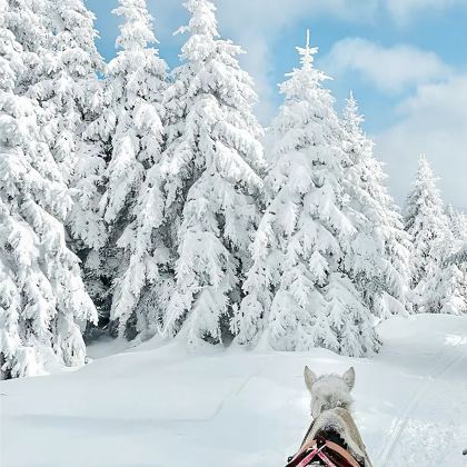 长白山5日4晚私家团