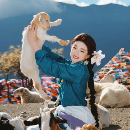 昆明+大理市+丽江+香格里拉8日7晚自由行