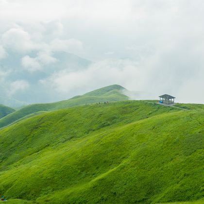 江西萍乡武功山风景区+武功山君澜温泉2日1晚跟团游