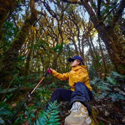 云南昆明+瑞丽+芒市+腾冲6日5晚私家团