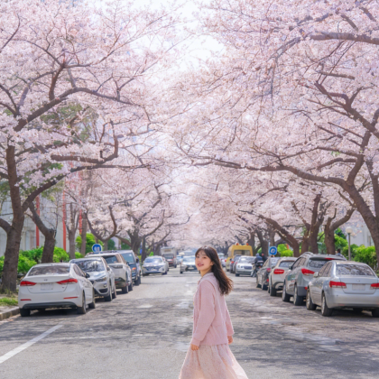 韩国釜山5日4晚私家团