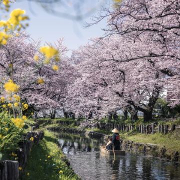 日本东京+轻井泽町+川越+日光市6日5晚拼小团