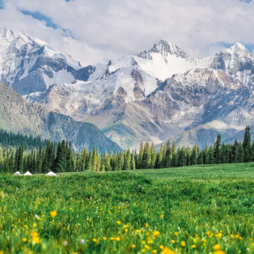 新疆阿勒泰地区+喀纳斯景区+禾木风景区3日2晚跟团游