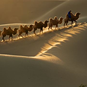 内蒙古呼和浩特+乌兰哈达火山地质公园+辉腾锡勒草原+响沙湾7日6晚私家团