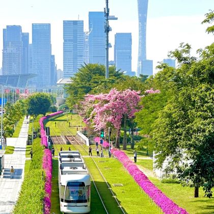 广州+佛山+顺德区5日4晚自由行