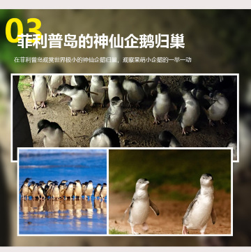 墨尔本