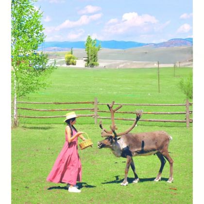 木兰围场+乌兰布统旅游区+塞罕坝国家森林公园3日2晚拼小团