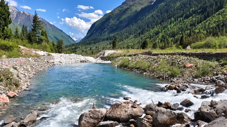 7-day 6-night · Private Tour · Chengdu + Jiuzhaigou + Huanglong National Scenic Area + Mount Emei + Leshan Giant Buddha